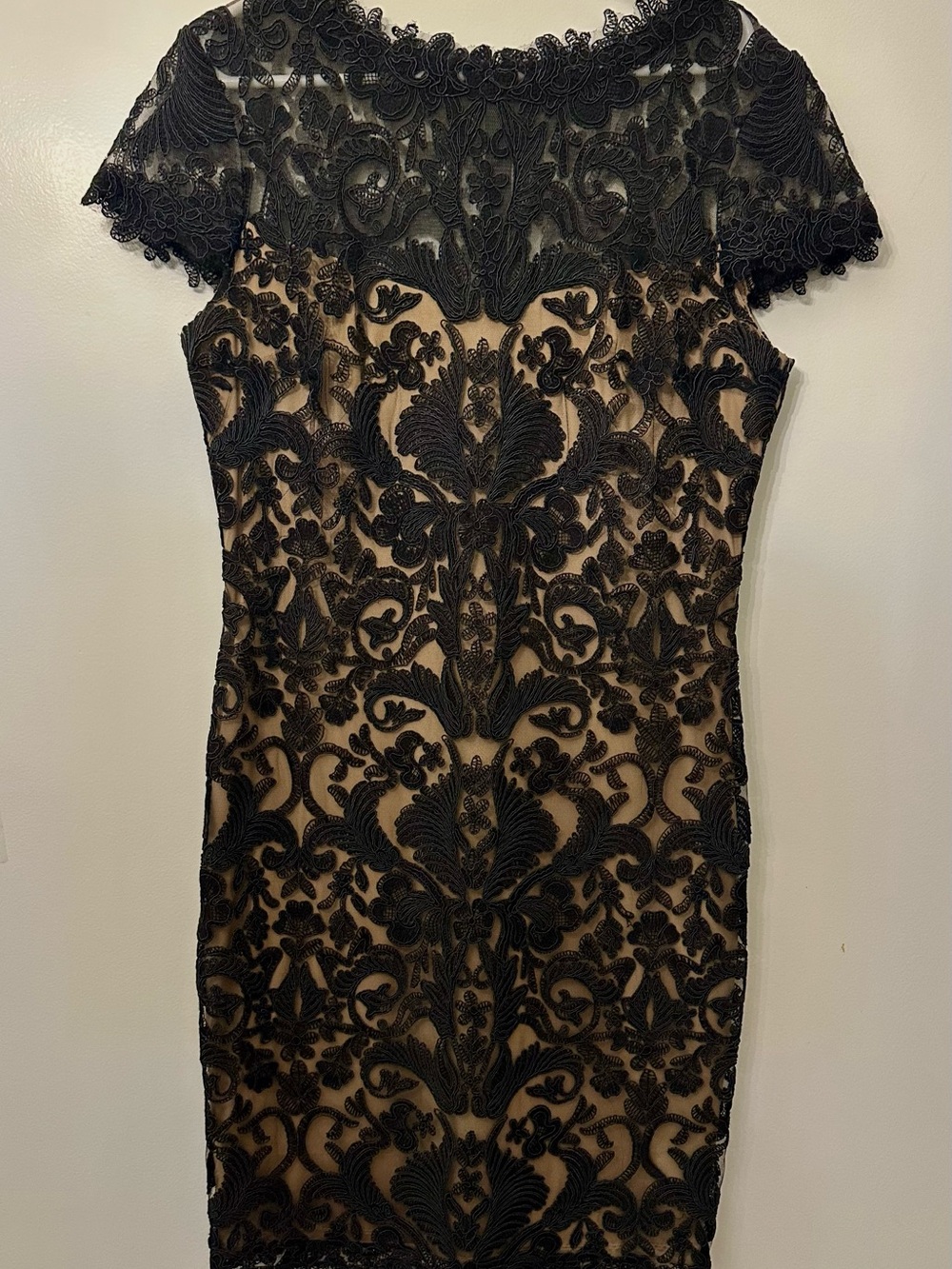 Tadashi Shoji Black Lace Overlay on Nude Midi Dress